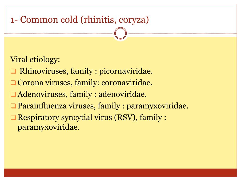 PPT - Viral infection of the respiratory tract --- 1 PowerPoint ...