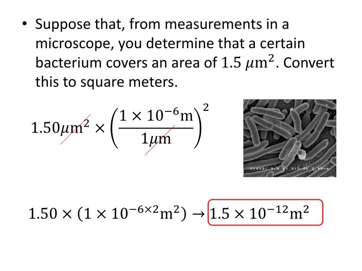 PPT College Physics PowerPoint Presentation ID 6775096