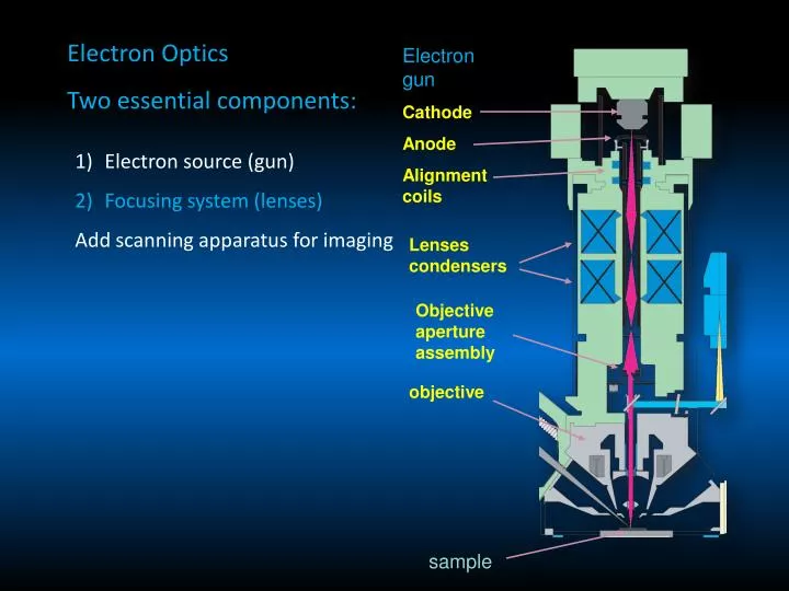 PPT Electron Optics Two essential components PowerPoint Presentation