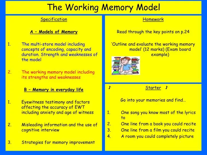 outline and evaluate the multi store outline and evaluate the multi store