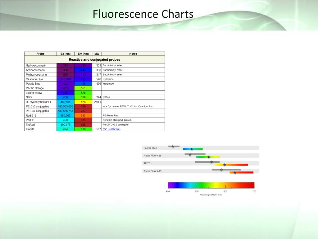 Ebioscience Fluorochrome Chart