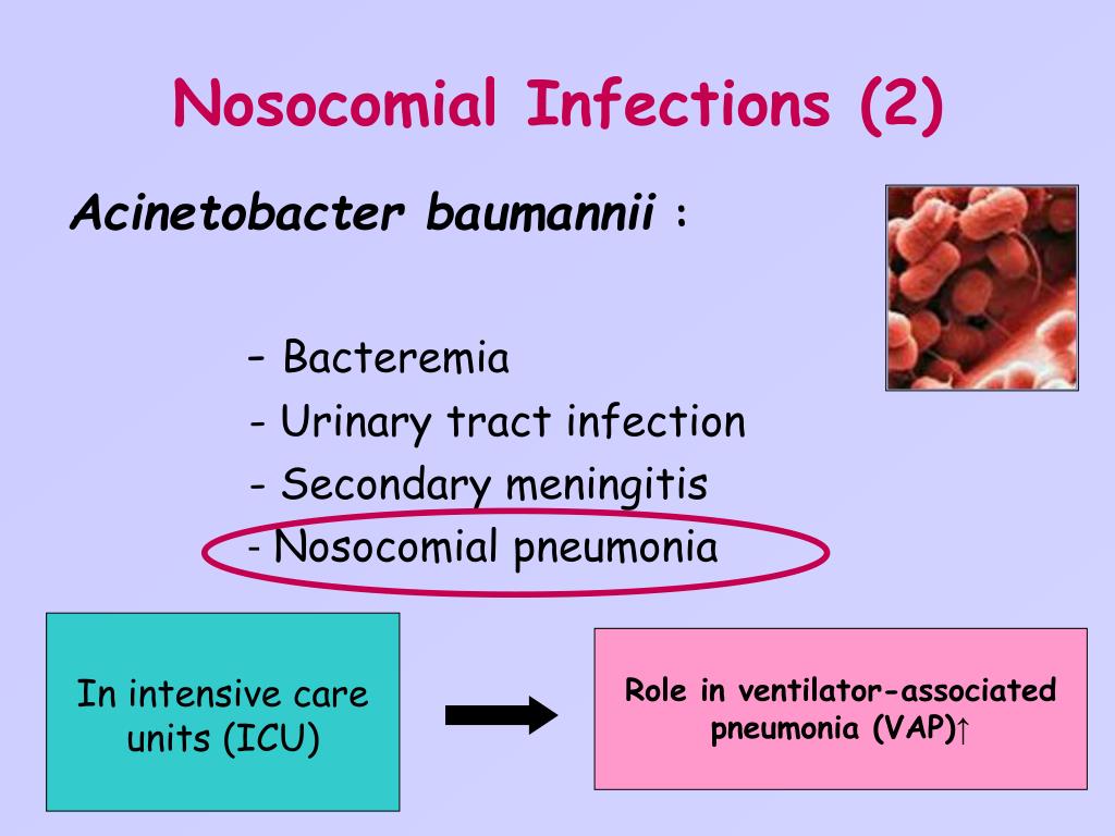 acinetobacter baumannii baktérium bakterium yersinia pestis