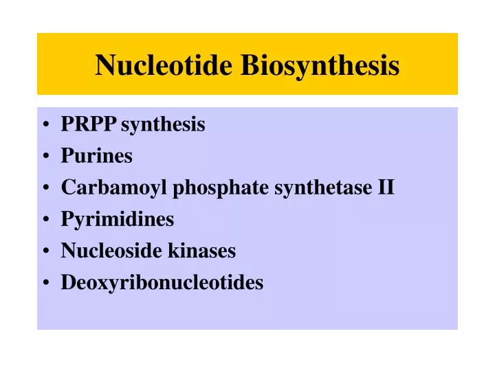 nucleotide biosynthesis n.