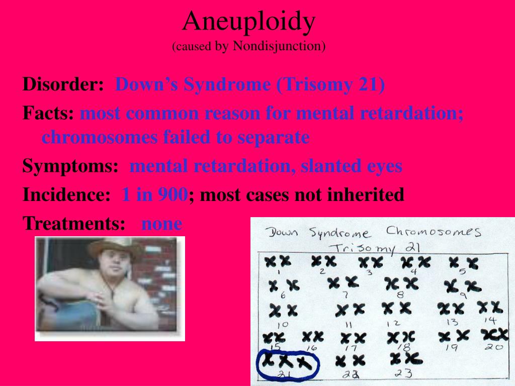 Ppt Genetic Disorders And Testing Powerpoint Presentation Free