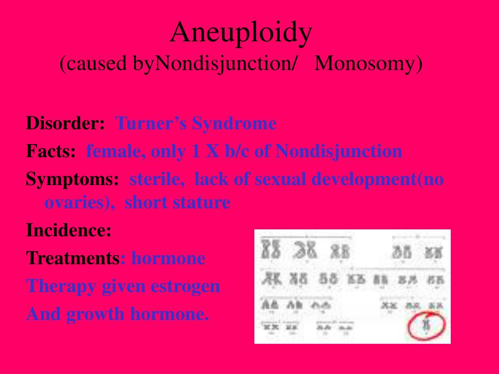 Ppt Genetic Disorders And Testing Powerpoint Presentation Free