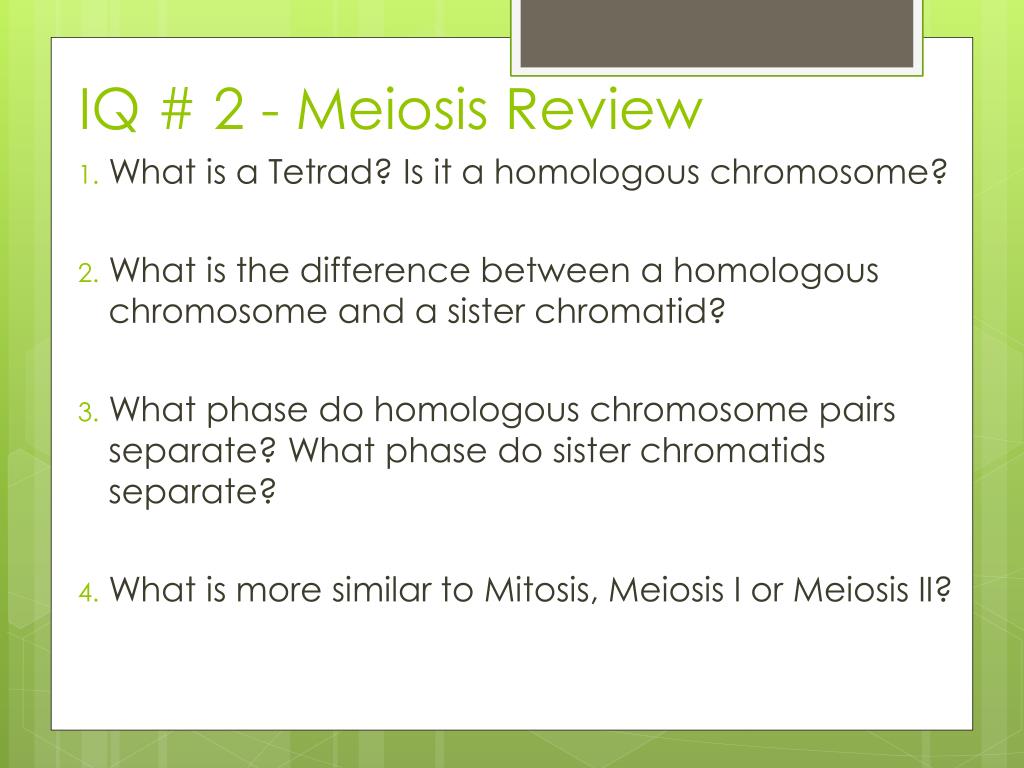 11.4 Meiosis Worksheet Answers : Ppt Chapter 11 4 Meiosis ...