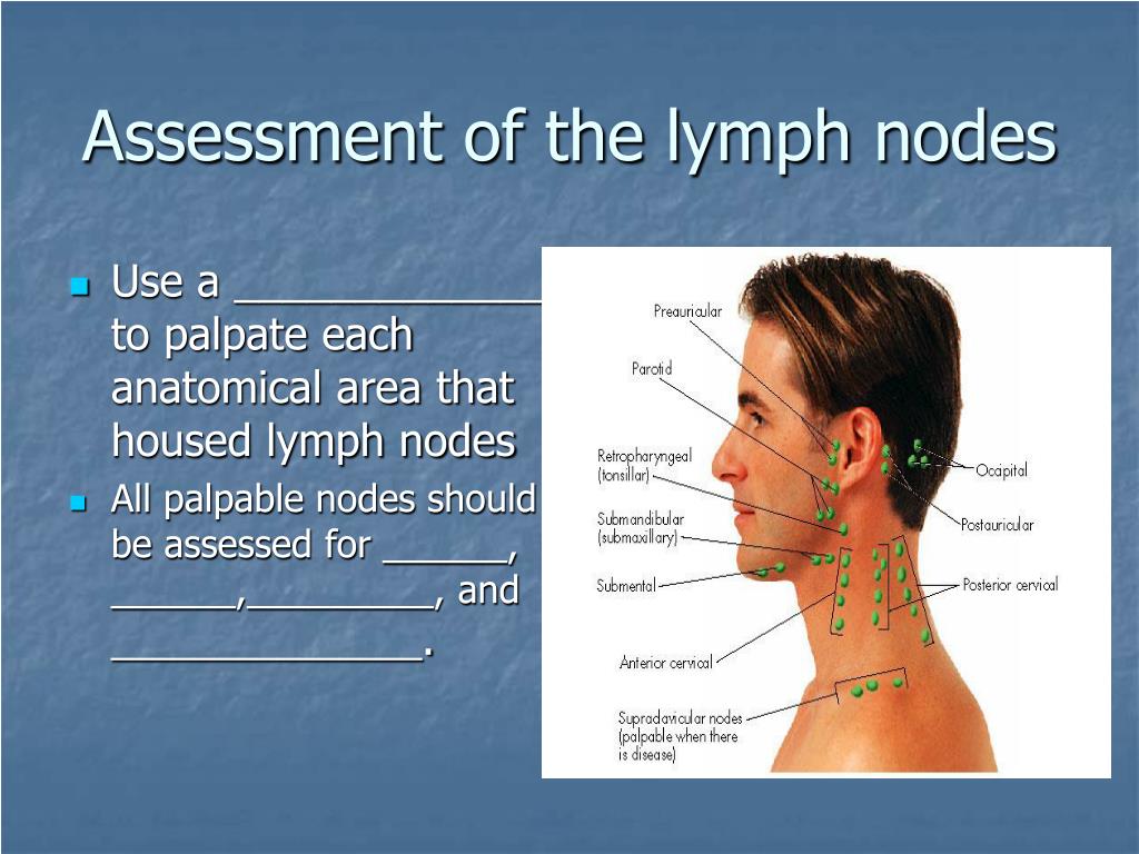 Ppt Assessment Of The Head Face And Neck Powerpoint Presentation Free