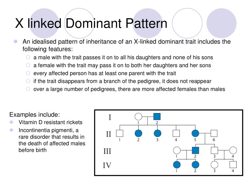 Ppt Sex Linkage And Pedigrees Powerpoint Presentation Free Download