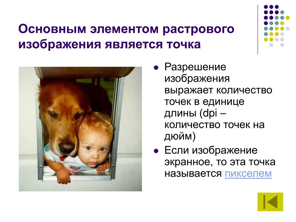 Фотография Является