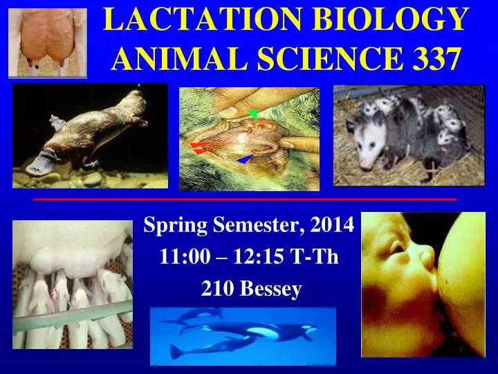 animal biology Find the top general zoology/animal biology schools, degree programs, colleges and training for starting your general zoology/animal biology career, including courses offered, tuition and admission requirements. animal biology Find the top general zoology/animal biology schools, degree programs, colleges and training for starting your general zoology/animal biology career, including courses offered, tuition and admission requirements.
