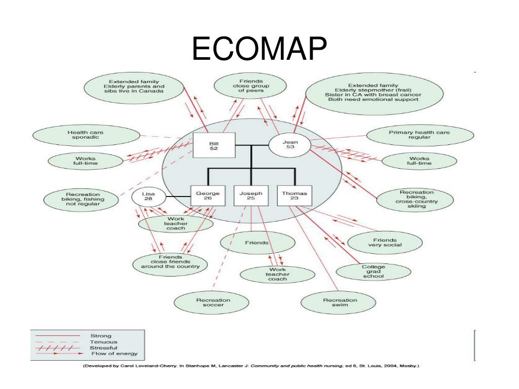 ecomap-and-genogram-template