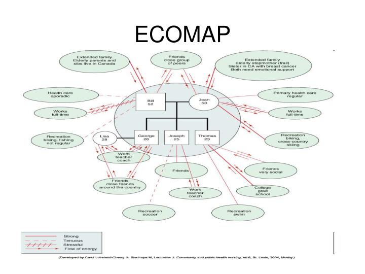 PPT - Sample Genogram and Ecomap/Ecogram PowerPoint 