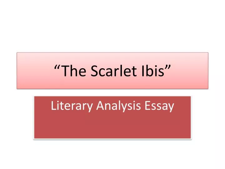 the scarlet ibis short story summary