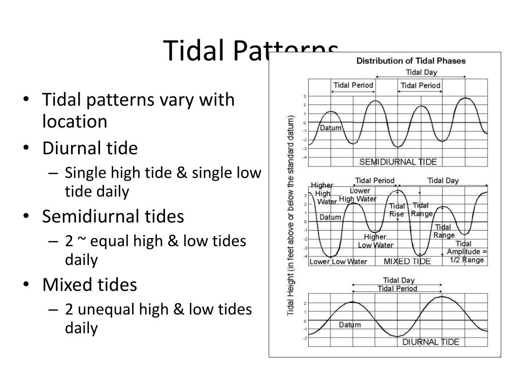 PPT Waves PowerPoint Presentation, free download ID6792933