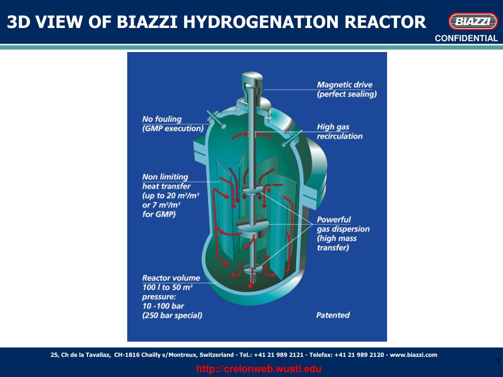 PPT - 3D VIEW OF BIAZZI HYDROGENATION REACTOR PowerPoint Presentation