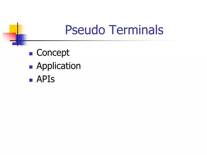 pseudo terminals n.
