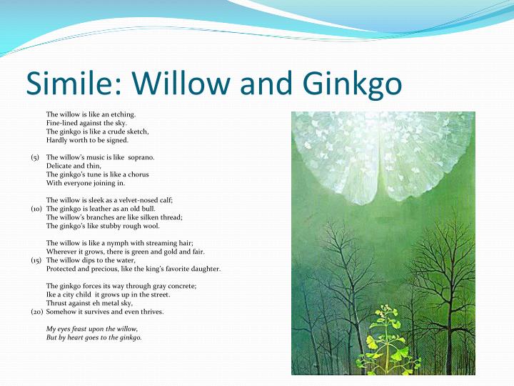 “simile willow and ginkgo” “simile willow and ginkgo”