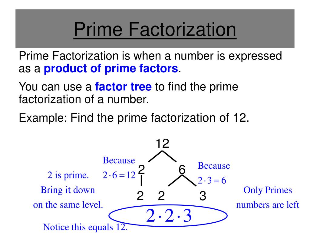 ppt-prime-factorization-greatest-common-factor-gcf-and-least-common-multiple-lcm