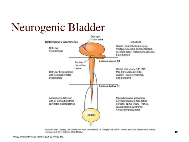 Bladder Spasms Medication Orange Urine