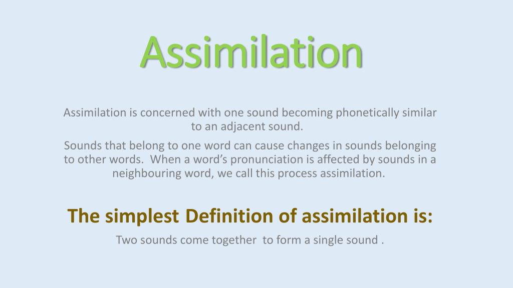 Assimilation - Definition and Examples - Biology Online Dictionary