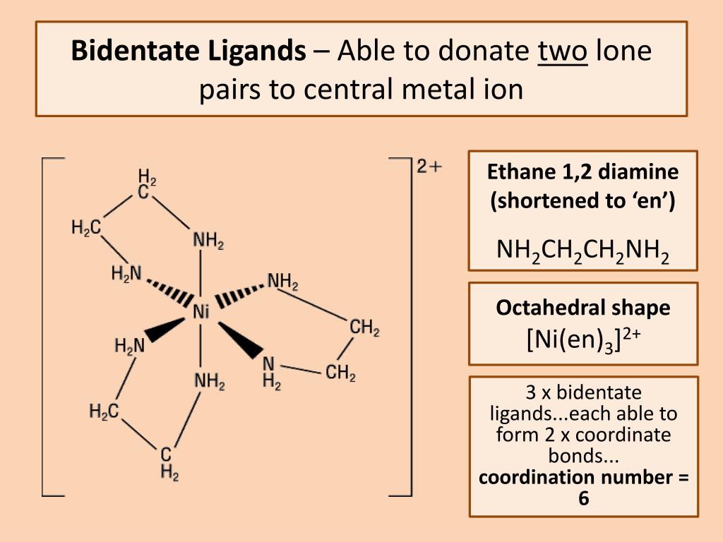 central metal ion Ethane 1,2 diamine (shortened to 'en') NH2CH2CH...
