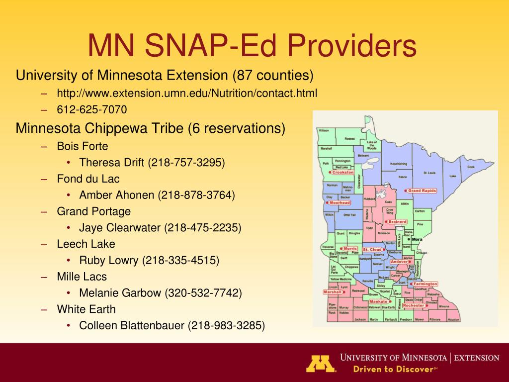 Minnesota Snap Benefits 2024 Shawn Dolorita