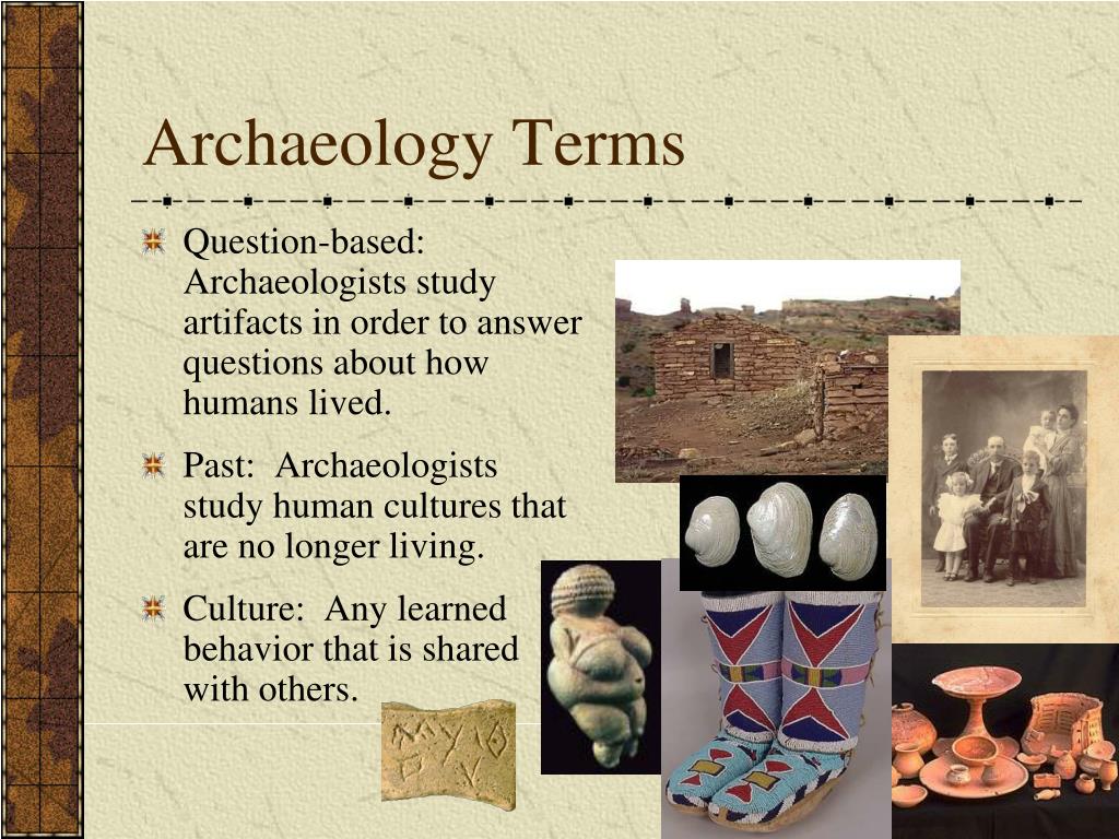 archaeological trip meaning