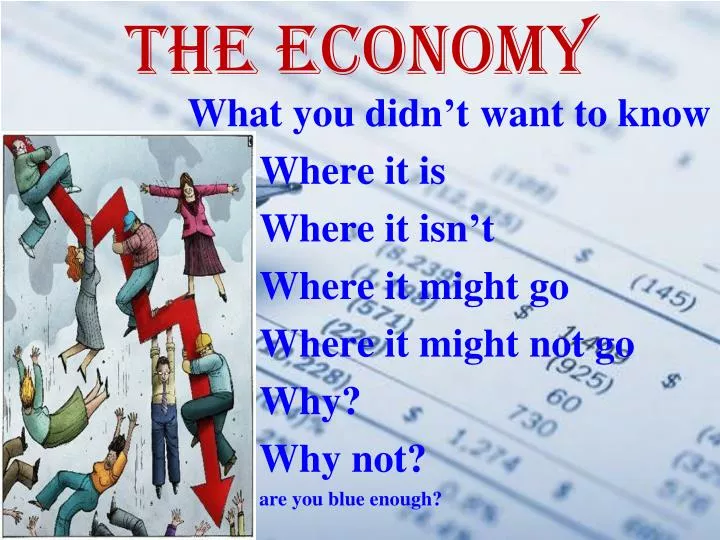 the economy n.