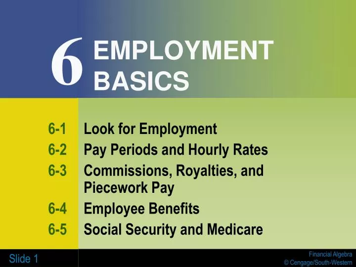 employment basics n.