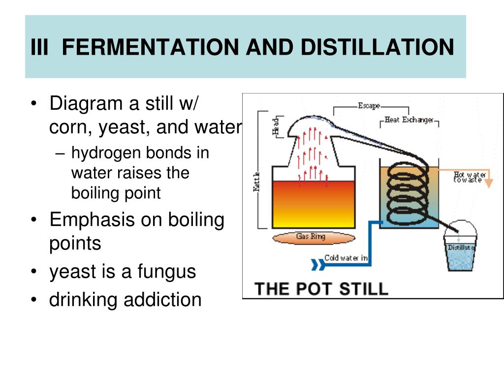 PPT - Iii Fermentation AnD Distillation L