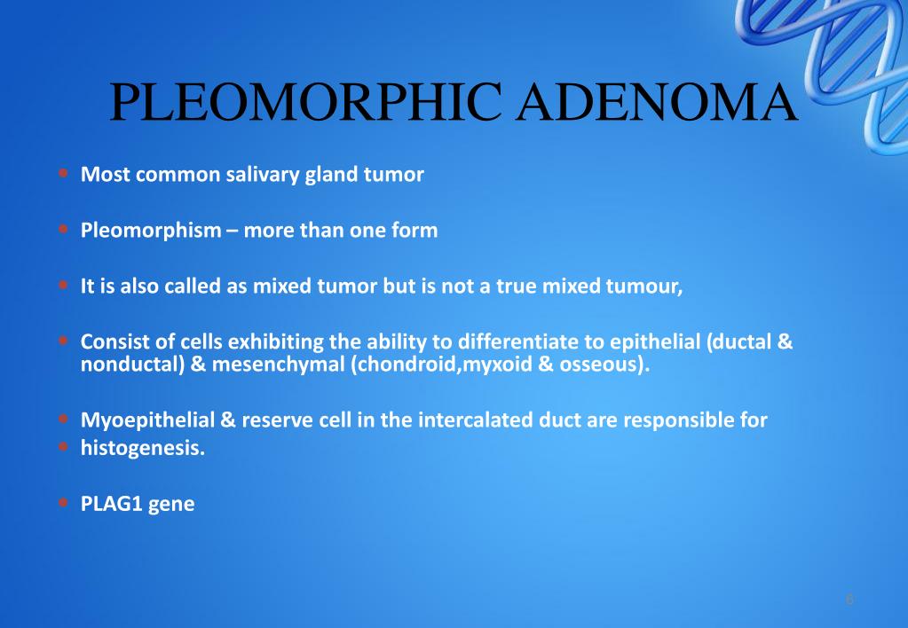 pleomorphic adenoma histology ppt)