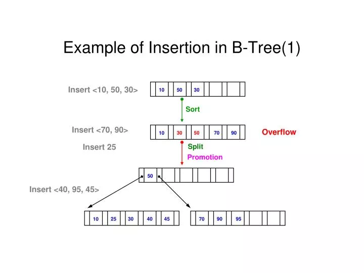 PPT - Example Of Insertion In B-Tree(1) PowerPoint Presentation, Free ...