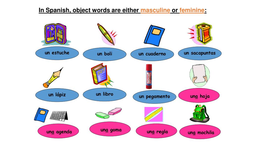 PPT - In Spanish, object words are either masculine or feminine :  PowerPoint Presentation - ID:6818626