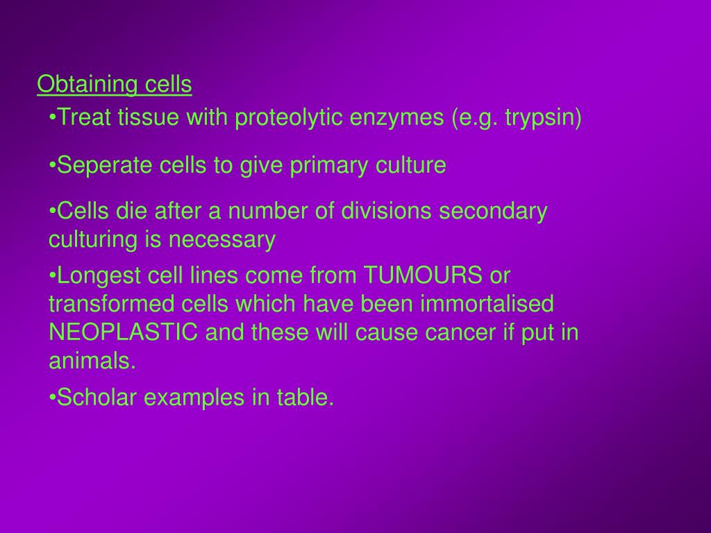 PPT - Cell and Tissue Culture PowerPoint Presentation, free download - ID:6820444 PPT - Cell and Tissue Culture PowerPoint Presentation, free download - ID:6820444