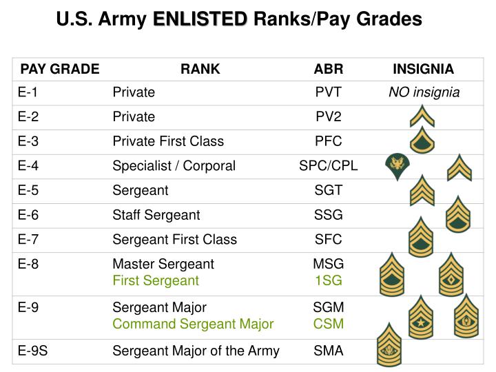 PPT - U.S. Army OFFICER Ranks/Pay Grades PowerPoint Presentation - ID ...