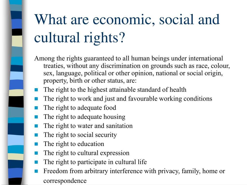 economic social and cultural rights essay