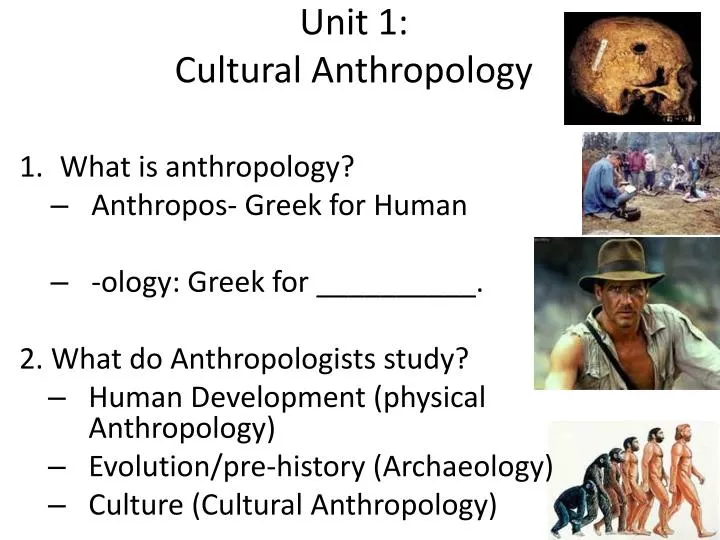 what is cultural in anthropology