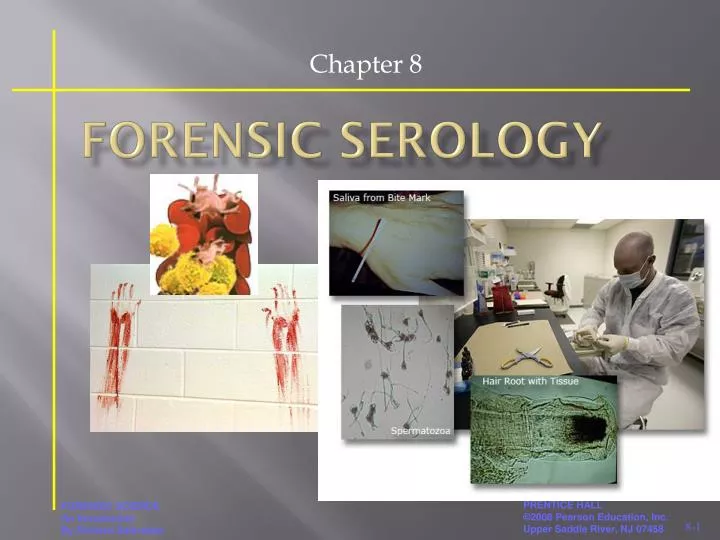 forensic serology n.
