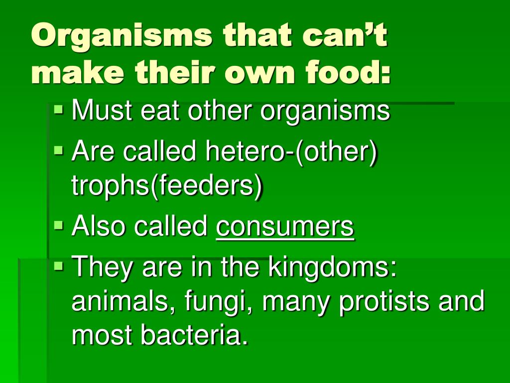 organisms that make their own food