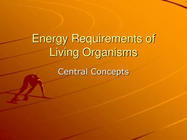 energy requirements of living organisms n.