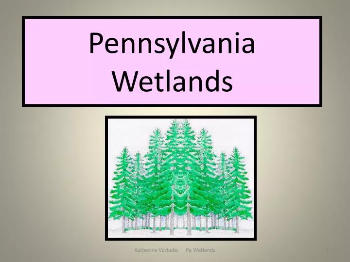 Pa Dep Wetlands Map