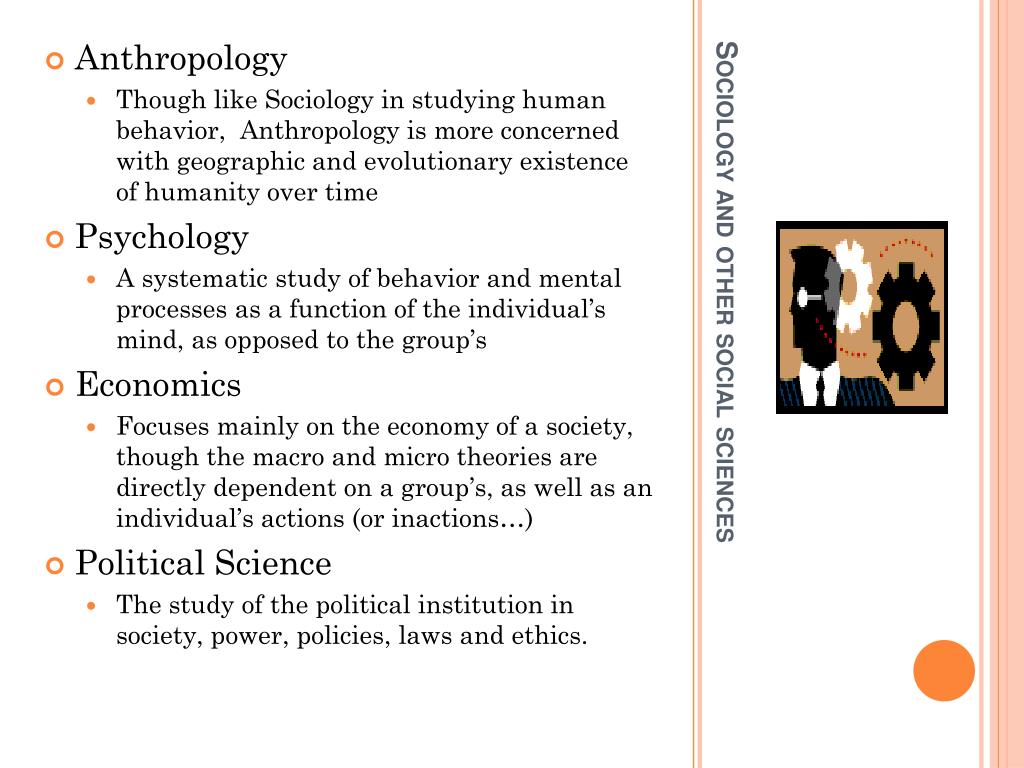 what is the perspective of anthropology sociology and political science