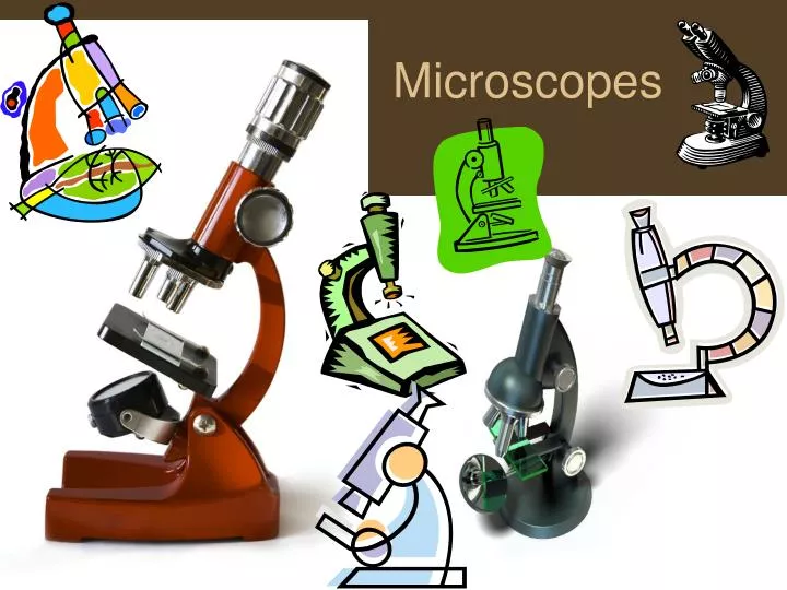 PPT - Microscopes PowerPoint Presentation; free download - ID:6835358