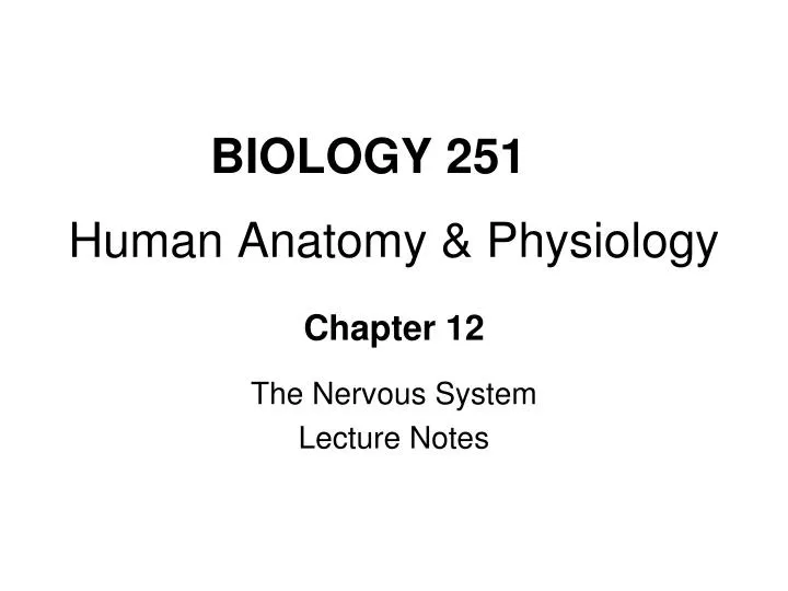 PPT - BIOLOGY 251 Human Anatomy & Physiology PowerPoint Presentation