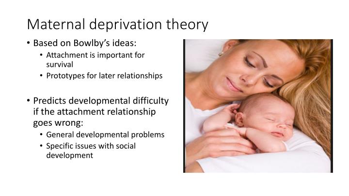 bowlbys child development maternal deprivation hypothoses essay bowlbys child development maternal deprivation hypothoses essay