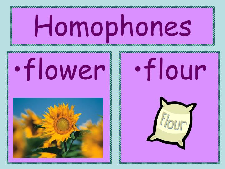 PPT Homophones PowerPoint Presentation ID6837929