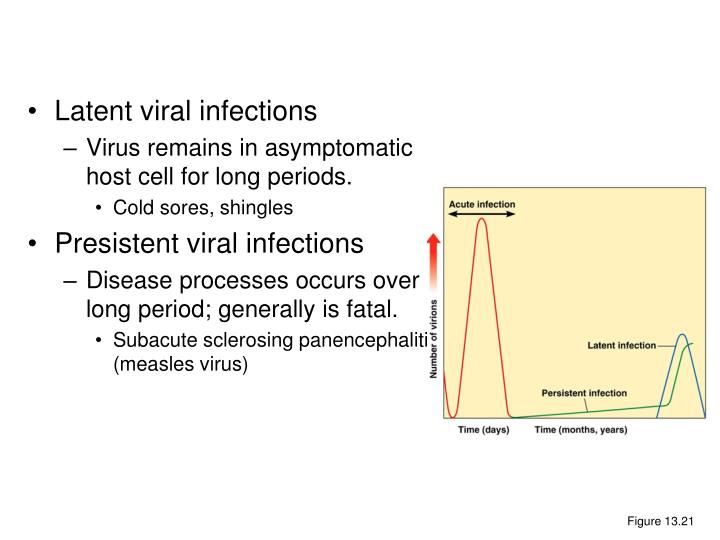 PPT Growing Viruses PowerPoint Presentation ID6838225