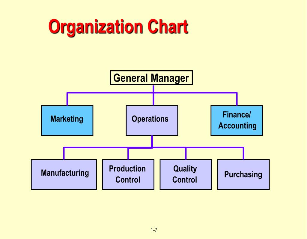 Operational Organizational Chart