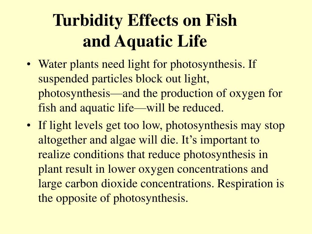 PPT Water Chemistry Project PowerPoint Presentation, free download