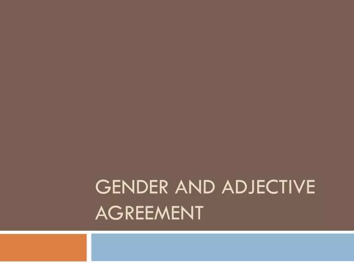 gender and adjective agreement n.